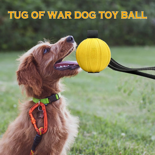 Dog Rope Ball Toy – Durable EVA Floating Ball for Training & Play