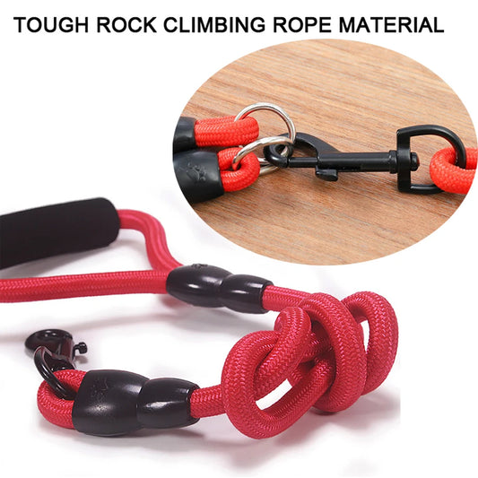 Double Dog Nylon Leash – Dual Head Rope for Walking Two Dogs