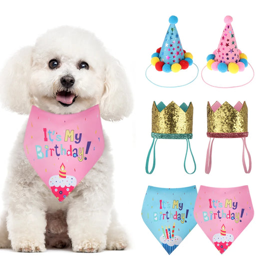 Pet Birthday Caps & Bibs – Sequin Design Party Accessories