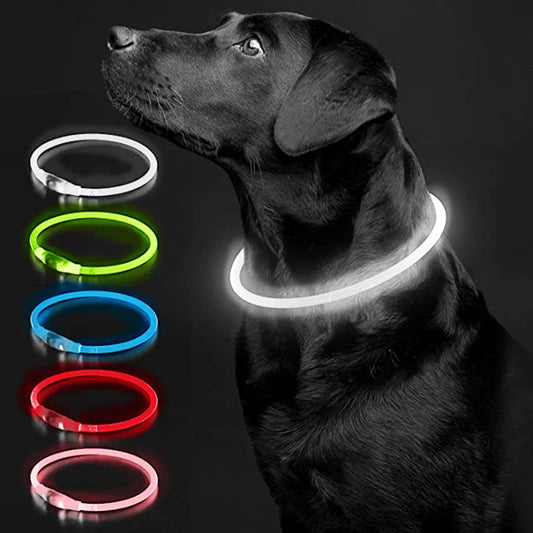 Luminous LED Dog Collar – Rechargeable Glowing Safety Necklace