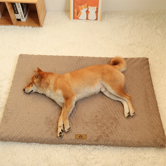 3D Foam Orthopedic Pet Bed – Waterproof with Removable Faux Fur Cover