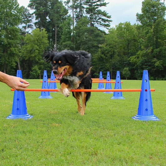 Dog Agility Training Set – Obstacle & Jump Bar Equipment for Active Pets