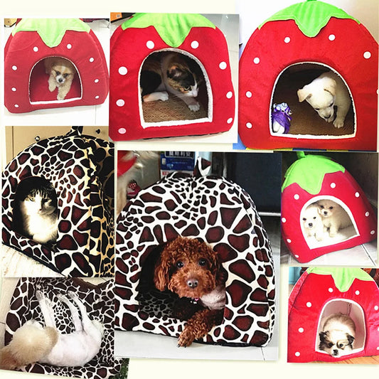 StrawberrySoft Pet House – Cozy Tent & Cushion for Small Dogs & Cats