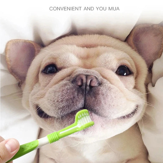 Pet Toothbrush Kit – 3-Head & Finger Brush Set for Dogs and Cats