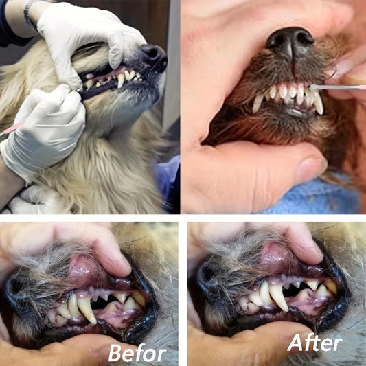 Pet Dog Tooth Cleaner – Double-Headed Stainless Steel Tartar Scraper