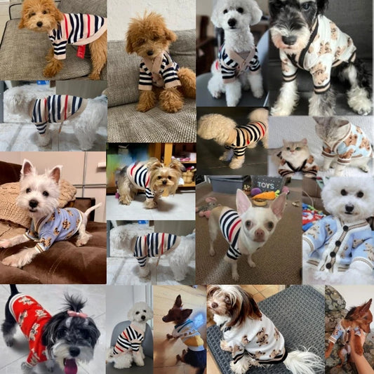 Winter Dog Clothes – Soft Striped Knitted Cardigan for Small Pets