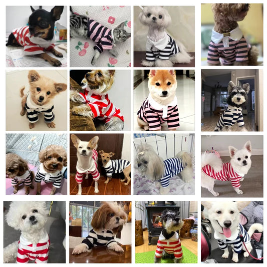 Summer Polo Shirt for Dogs – Cooling Stripe Sweatshirt for Small & Medium Breeds