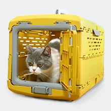Portable Plastic Pet Carrier – Foldable Dog & Cat Travel Crate