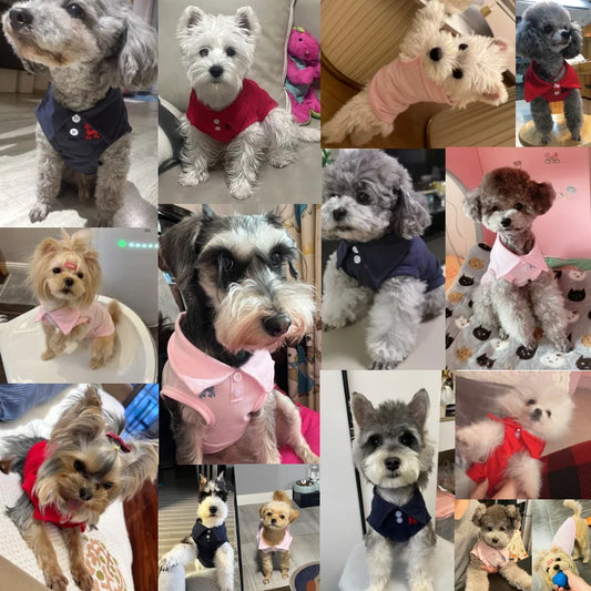 New Pet Dog Polo Shirt – Soft Breathable Vest for Small & Medium Dogs