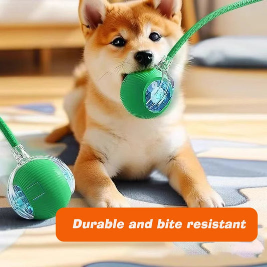 Smart Rolling Dog Ball – Rechargeable Interactive Toy for Puppies