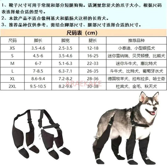Reflective Outdoor Dog Shoes – Waterproof Boots for All Sizes