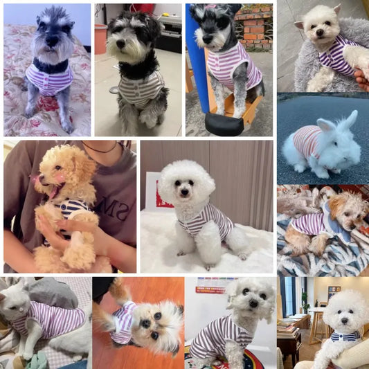 New Striped Pet Sweatshirt – Soft Summer Vest for Small Dogs & Cats