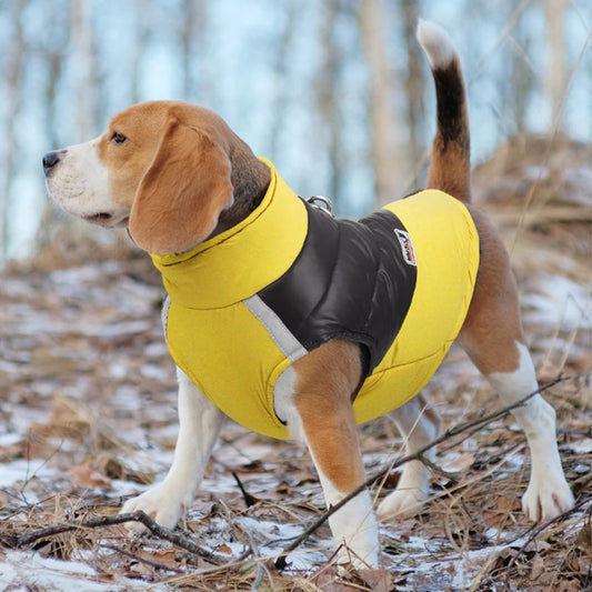 Padded Waterproof Winter Dog Vest – Warm Zipper Jacket for All Sizes