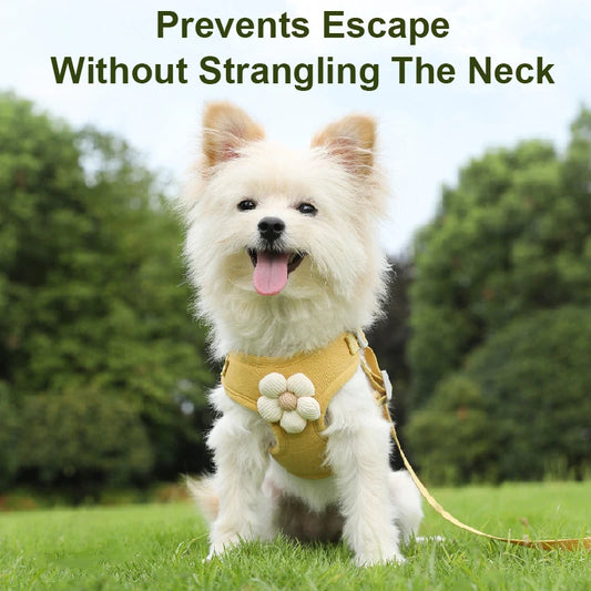 Adjustable Dog Harness with 1.2m Leash Set – Outdoor Walking for Small Pets