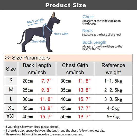 Designer Luxury Summer Dog Clothes – Denim Dress & Harness for Small Dogs
