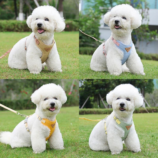 Puppy Harness & Leash Set – Breathable Chest Strap for Small to Medium Pets