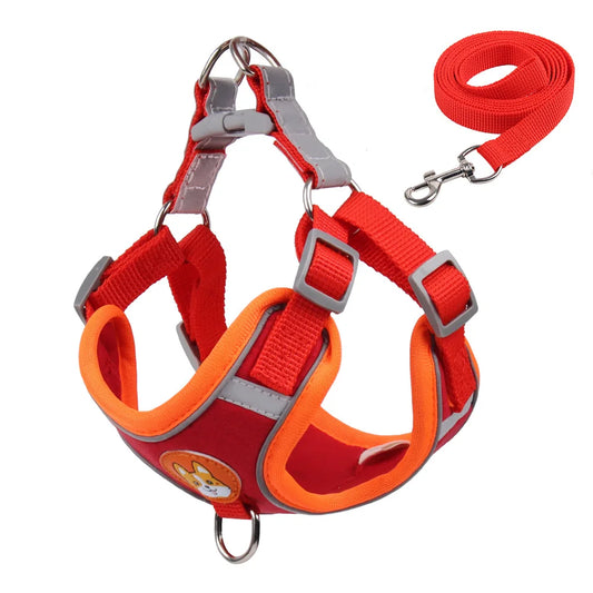 No-Pull Dog Harness and Leash Set – Adjustable Reflective Vest for Small Dogs