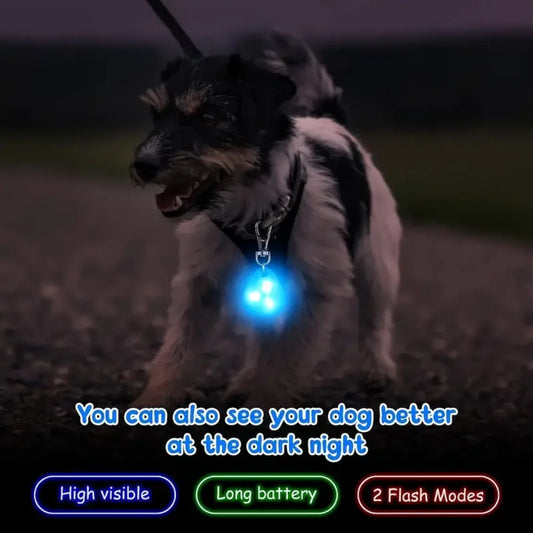 LED Waterproof Pet Pendant Collar – Silicone Light-Up Dog Tag