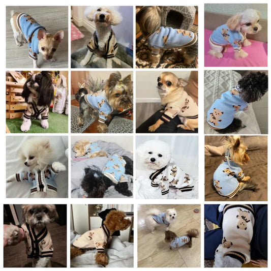 Luxury Striped Cardigan Sweater – Warm Outfit for Small Dogs & Cats