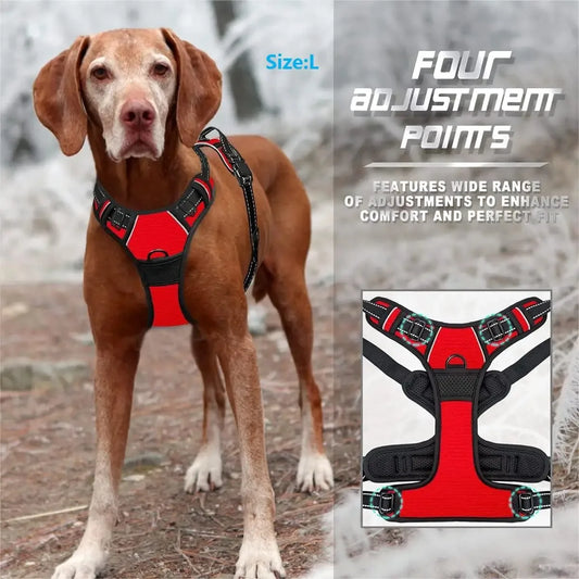 Leather Dog Collar, Harness & Leash Set – Medium & Small Dog Accessories