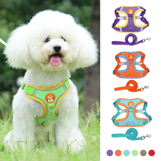 No-Pull Dog Harness and Leash Set – Adjustable Reflective Vest for Small Dogs